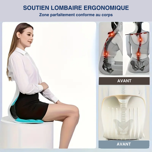 Coussin de soutien lombaire, anti-fatigue multi-usage, ergonomique en nylon respirant et lavable